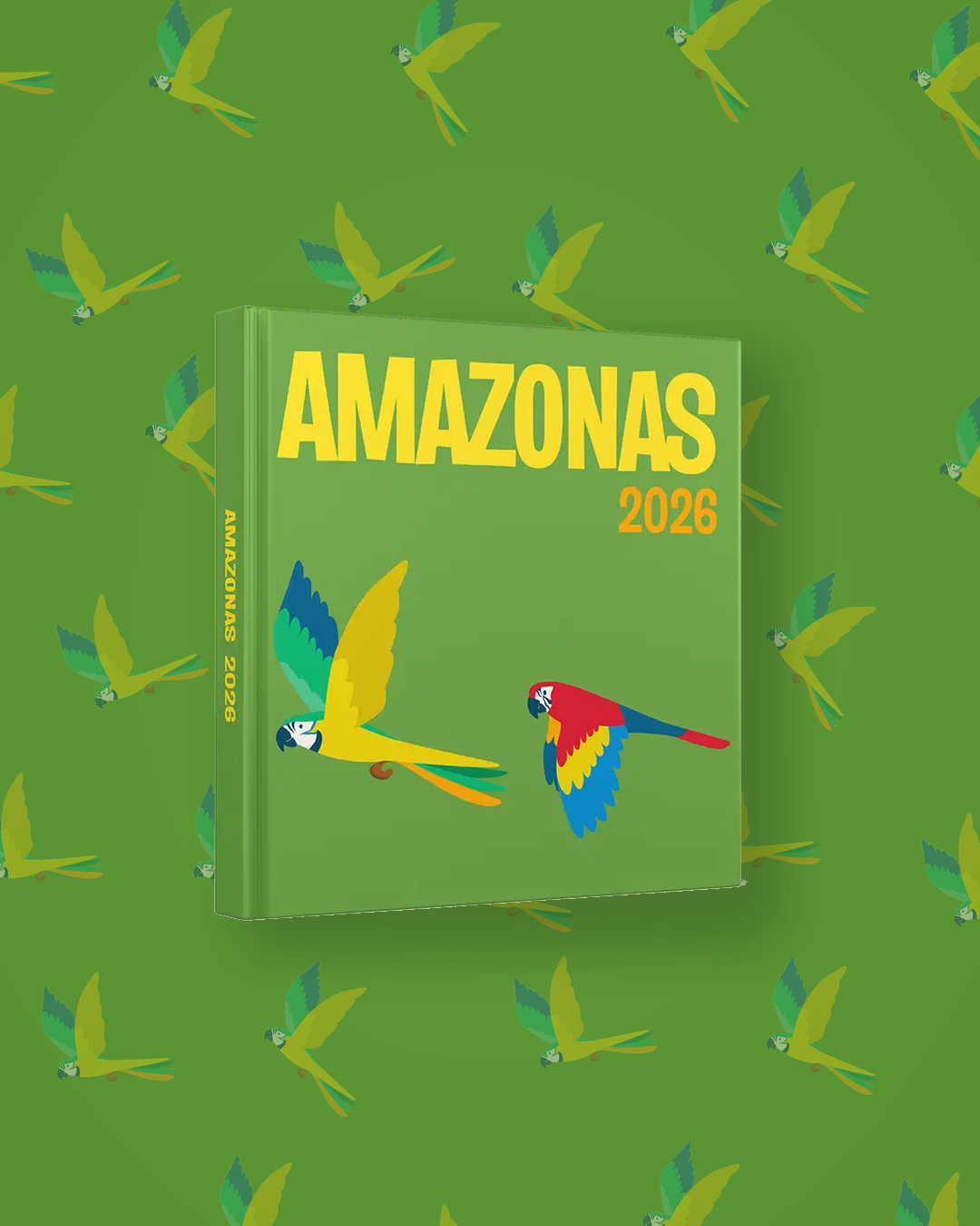 Amazonas — image 4