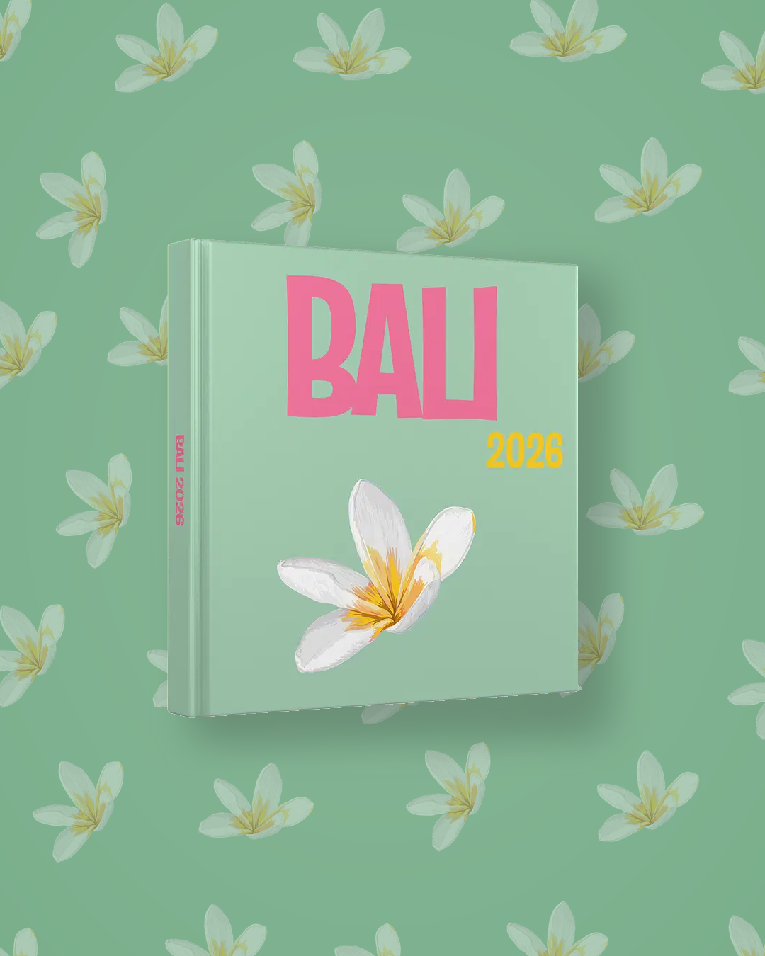 Bali — image 4