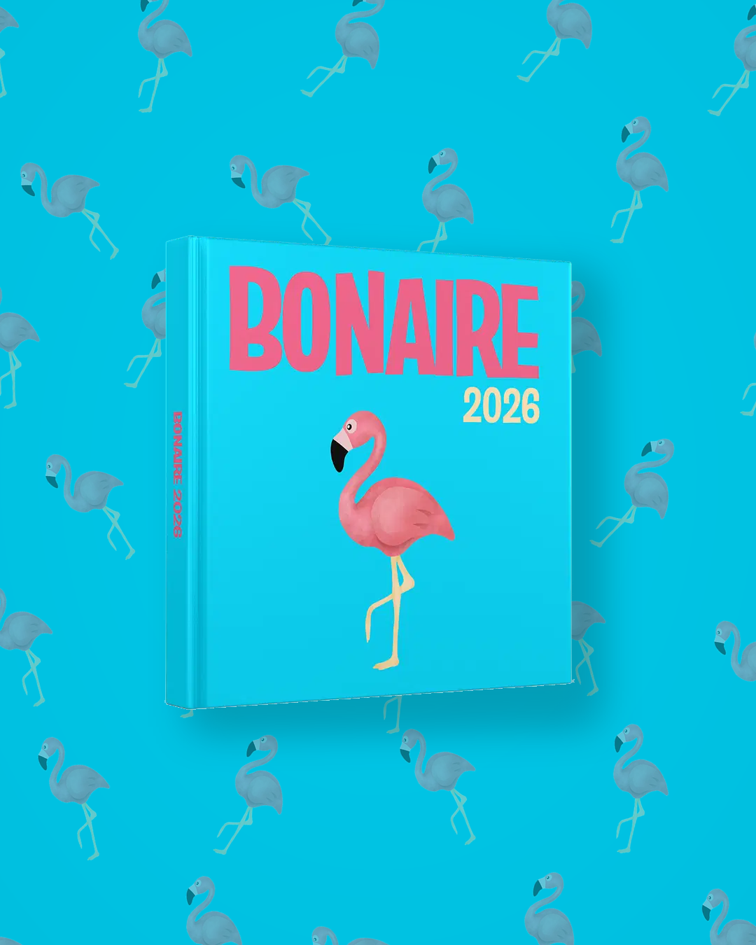 Bonaire — image 4