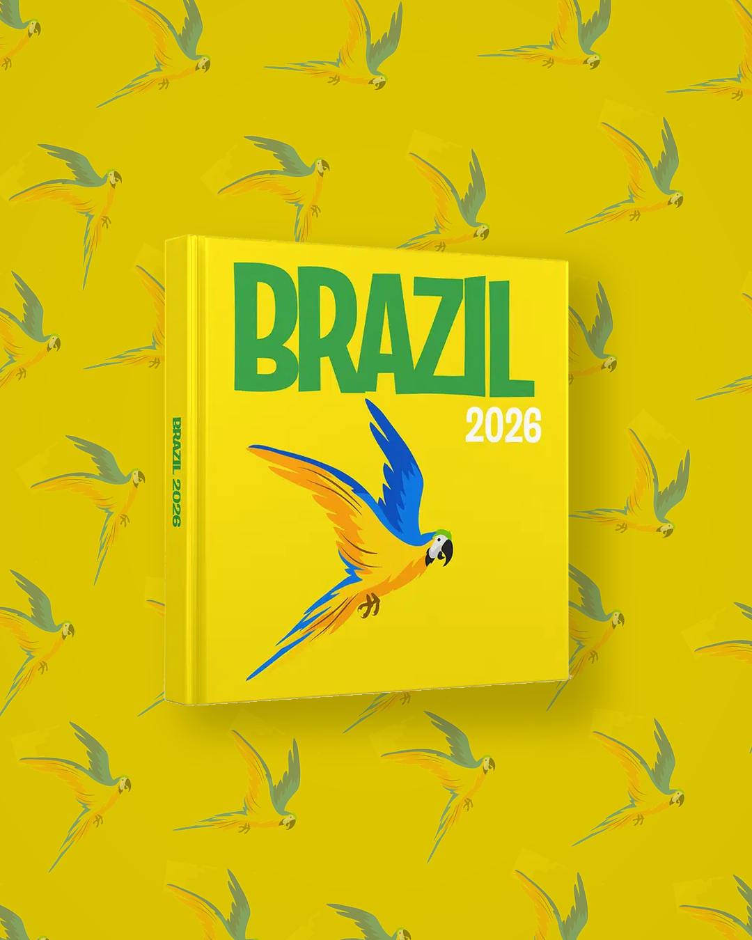 Brasil — image 4