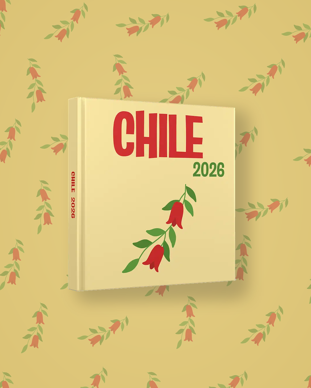Chile — image 4