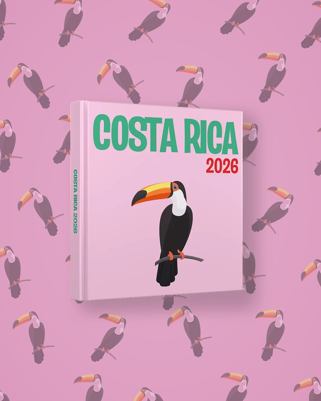Costa Rica — image 4