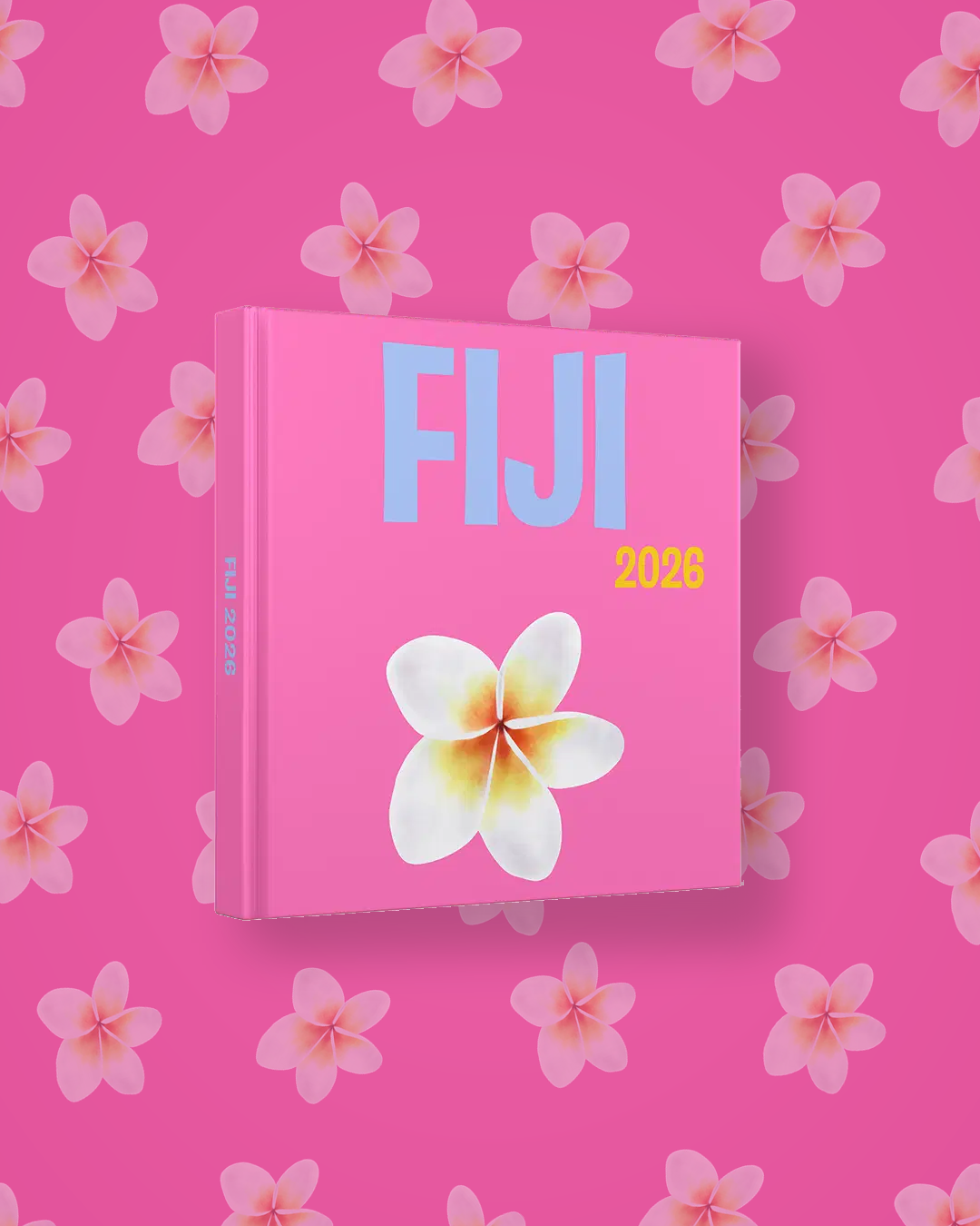 Fiyi — image 4