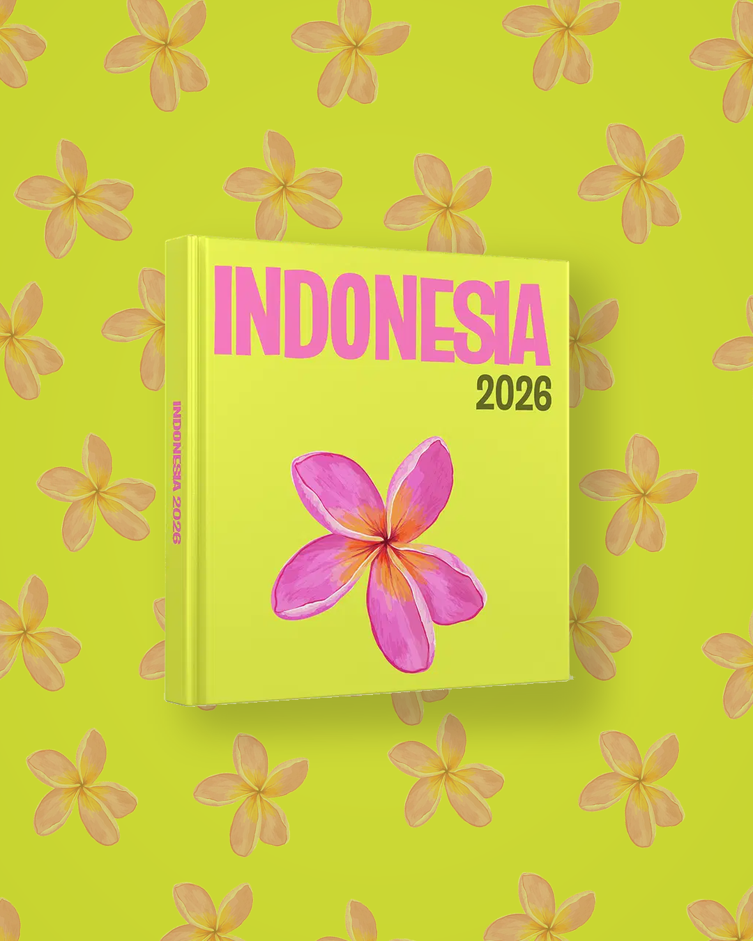 Indonesia — image 4