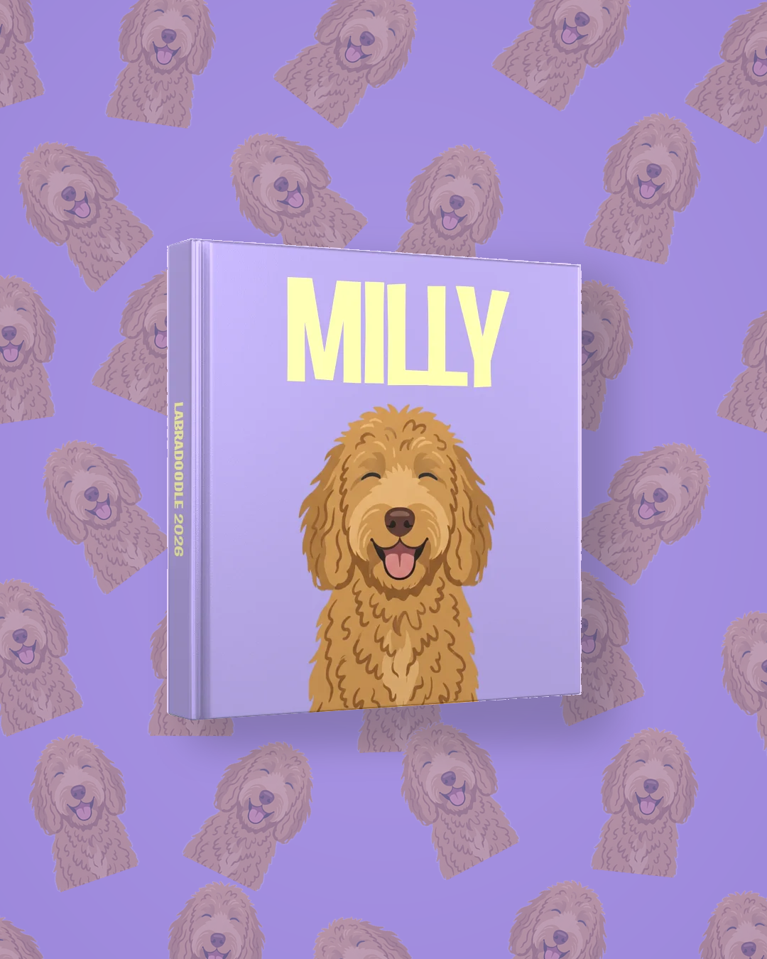Labradoodle — image 4