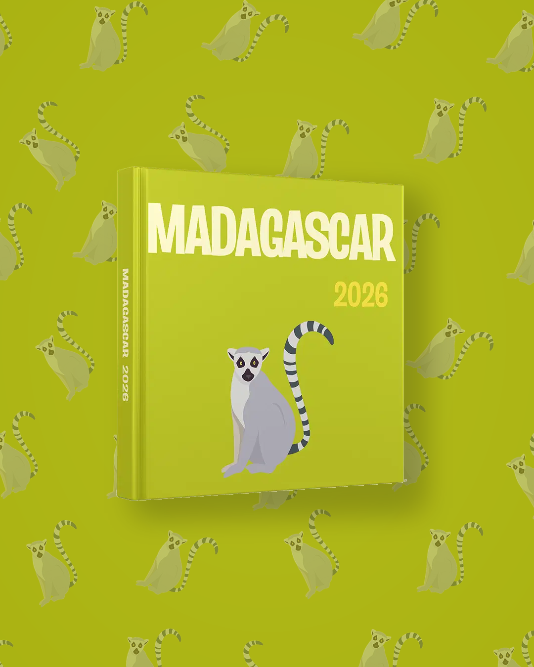 Madagascar — image 4