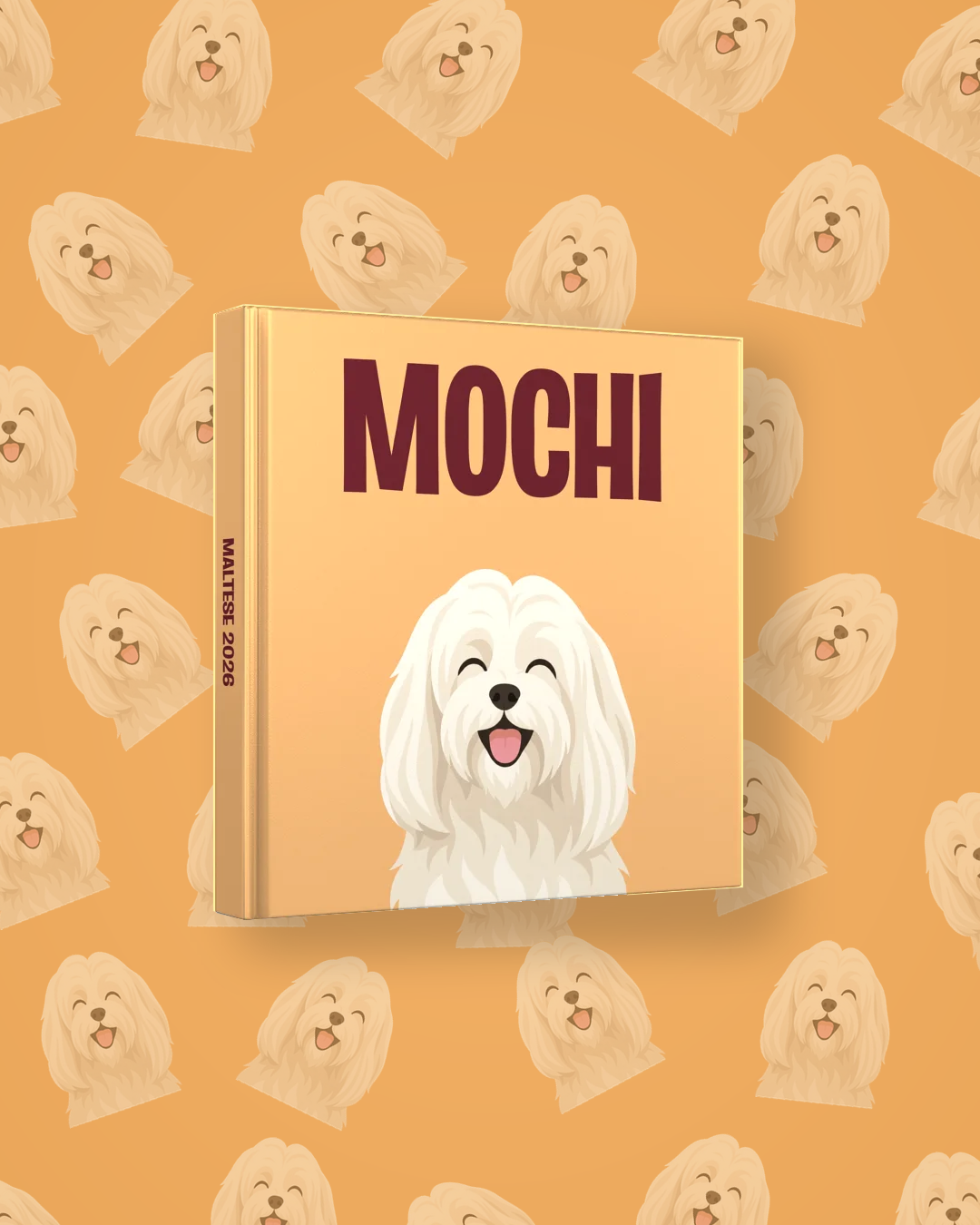 Bichón maltés — image 4