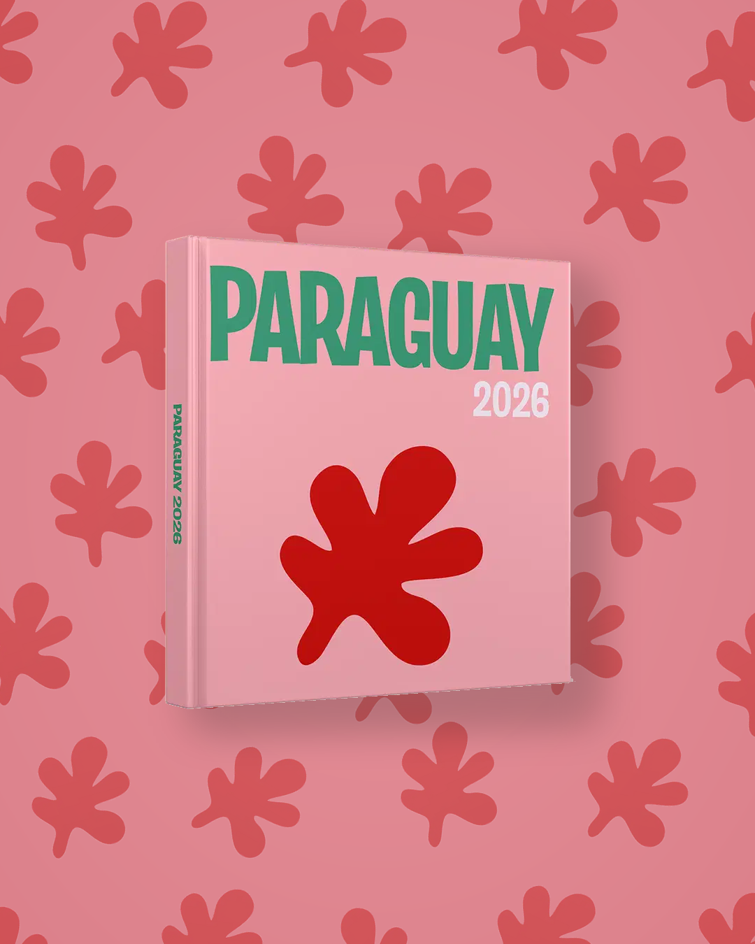 Paraguay — image 4