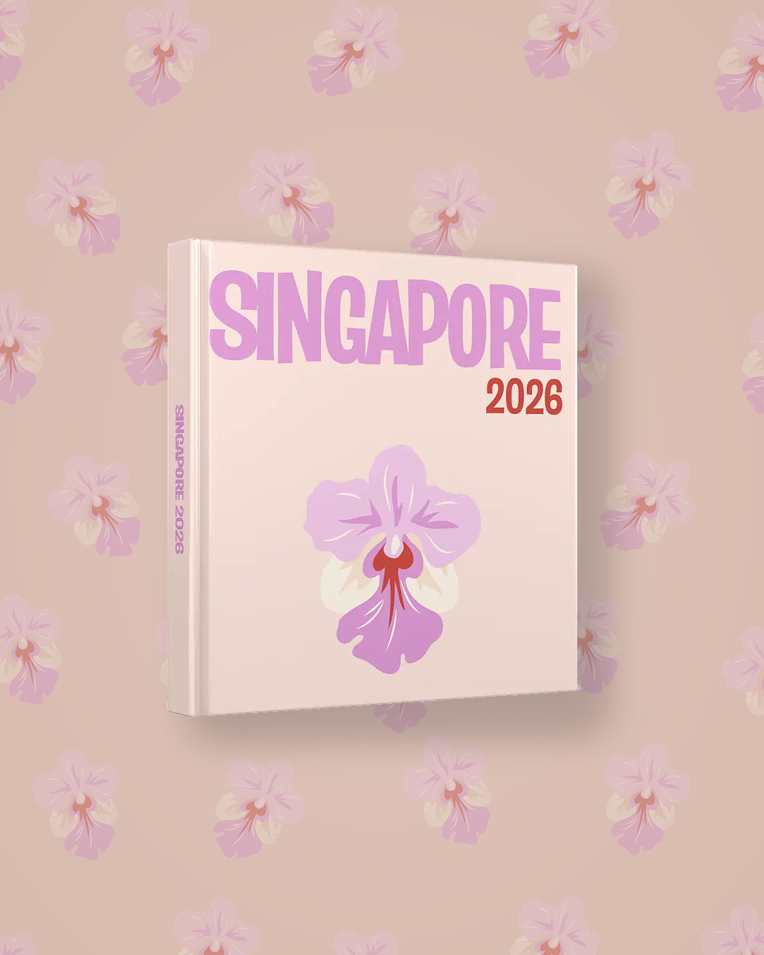 Singapur — image 4