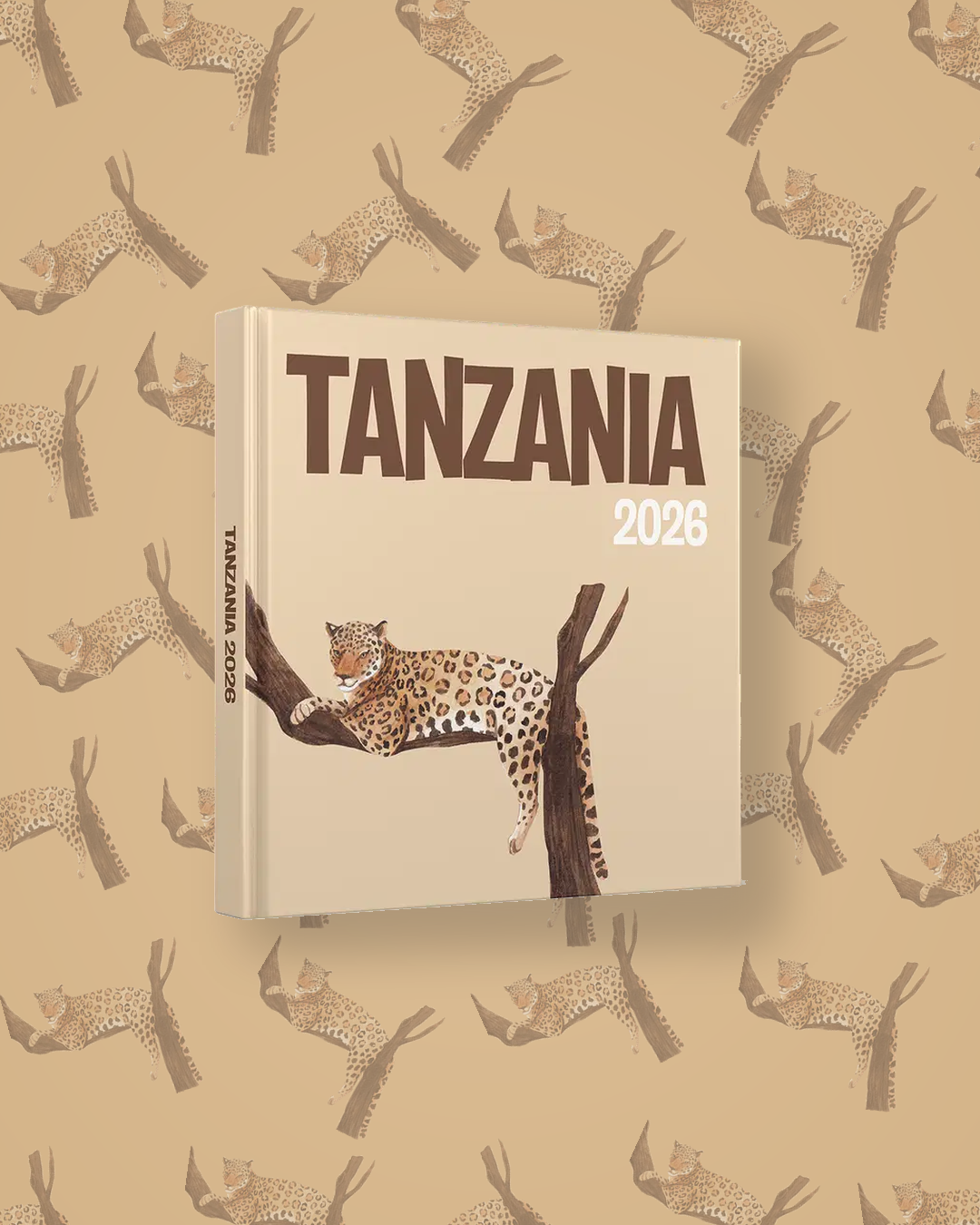 Tanzania — image 4