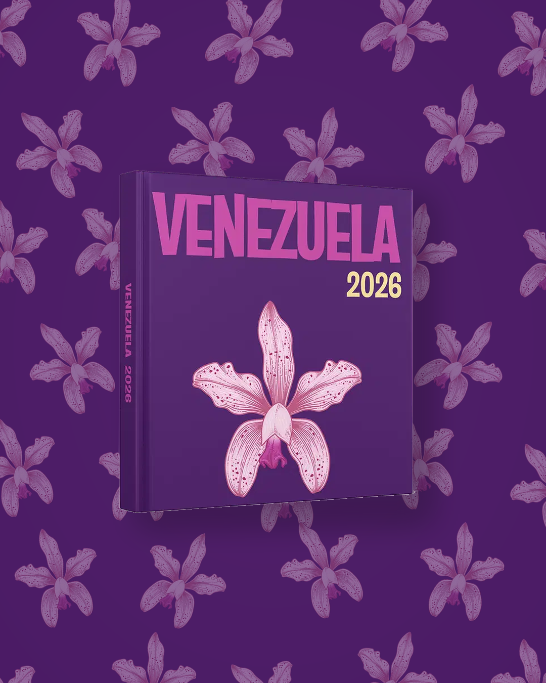 Venezuela — image 4