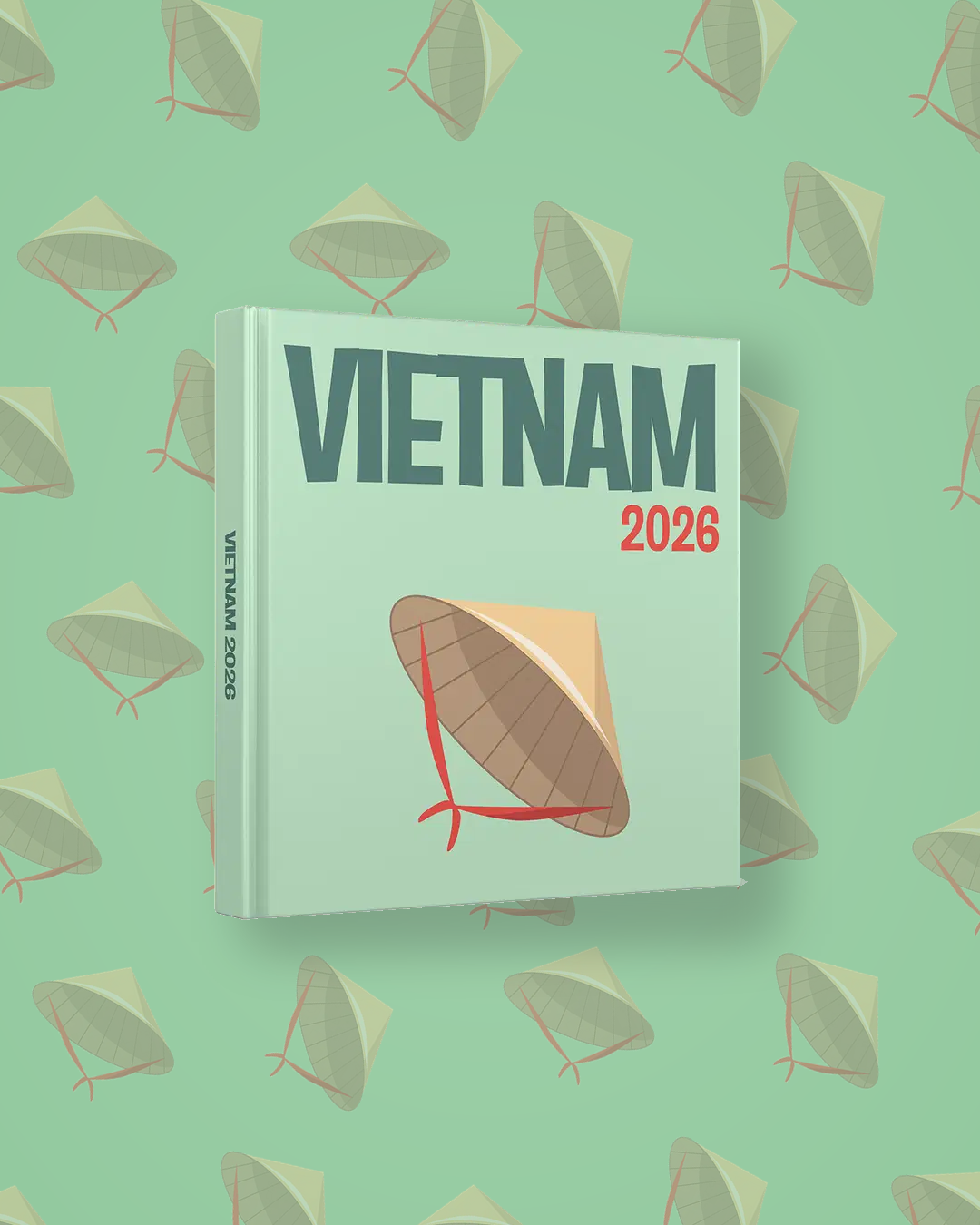 Vietnam — image 4