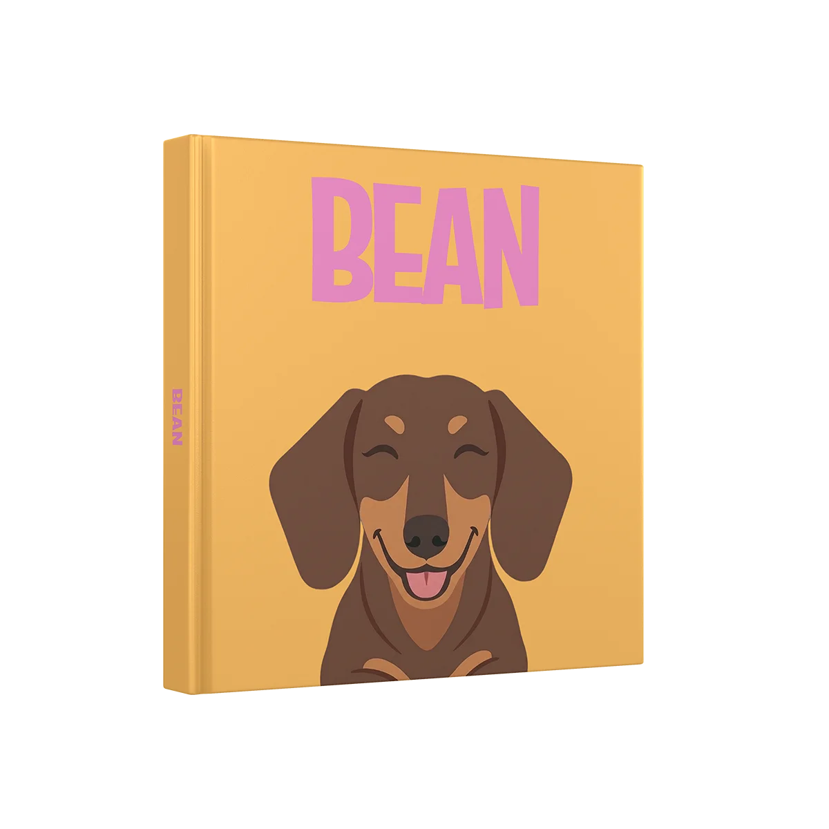 Dachshund 3