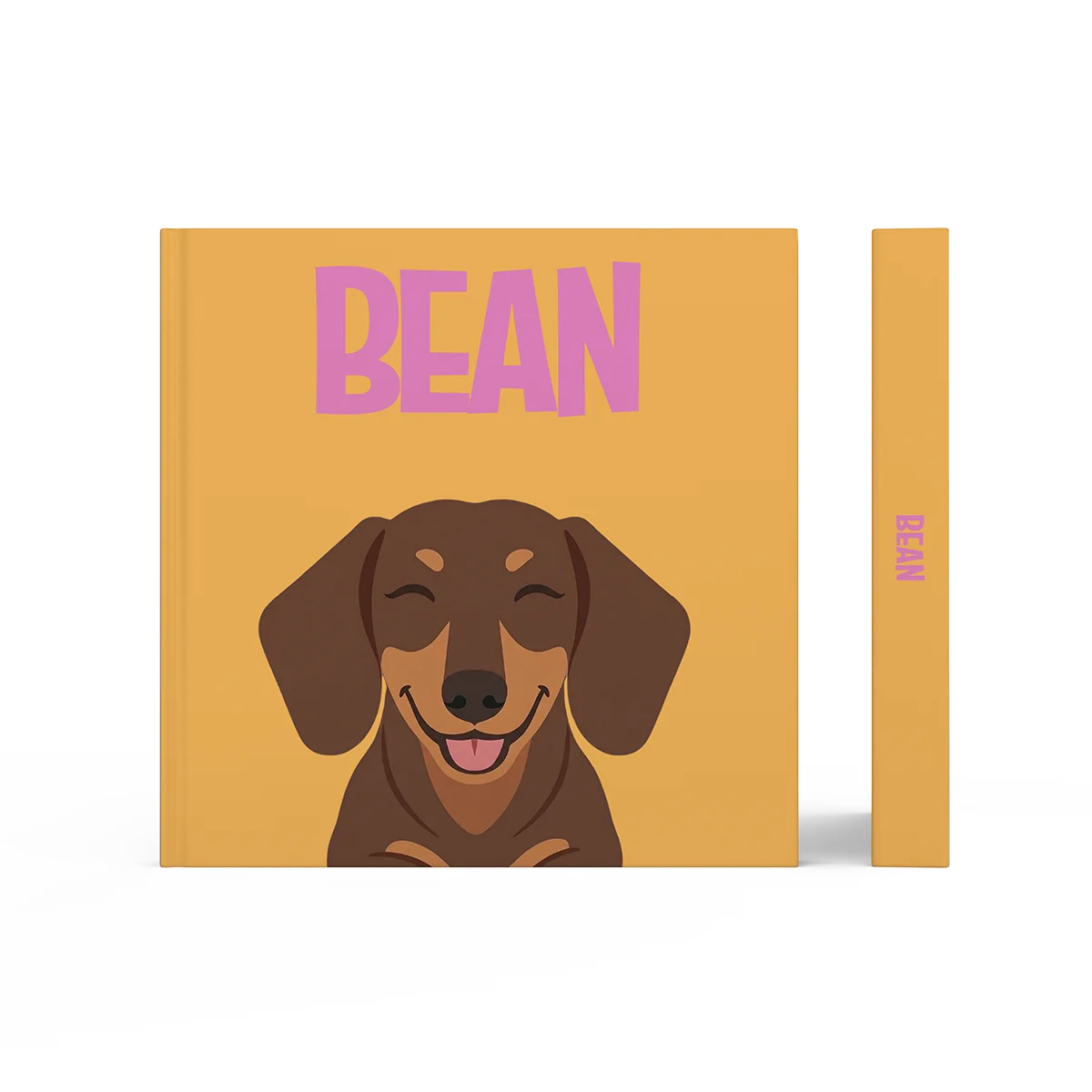 Dachshund 3 — image 3