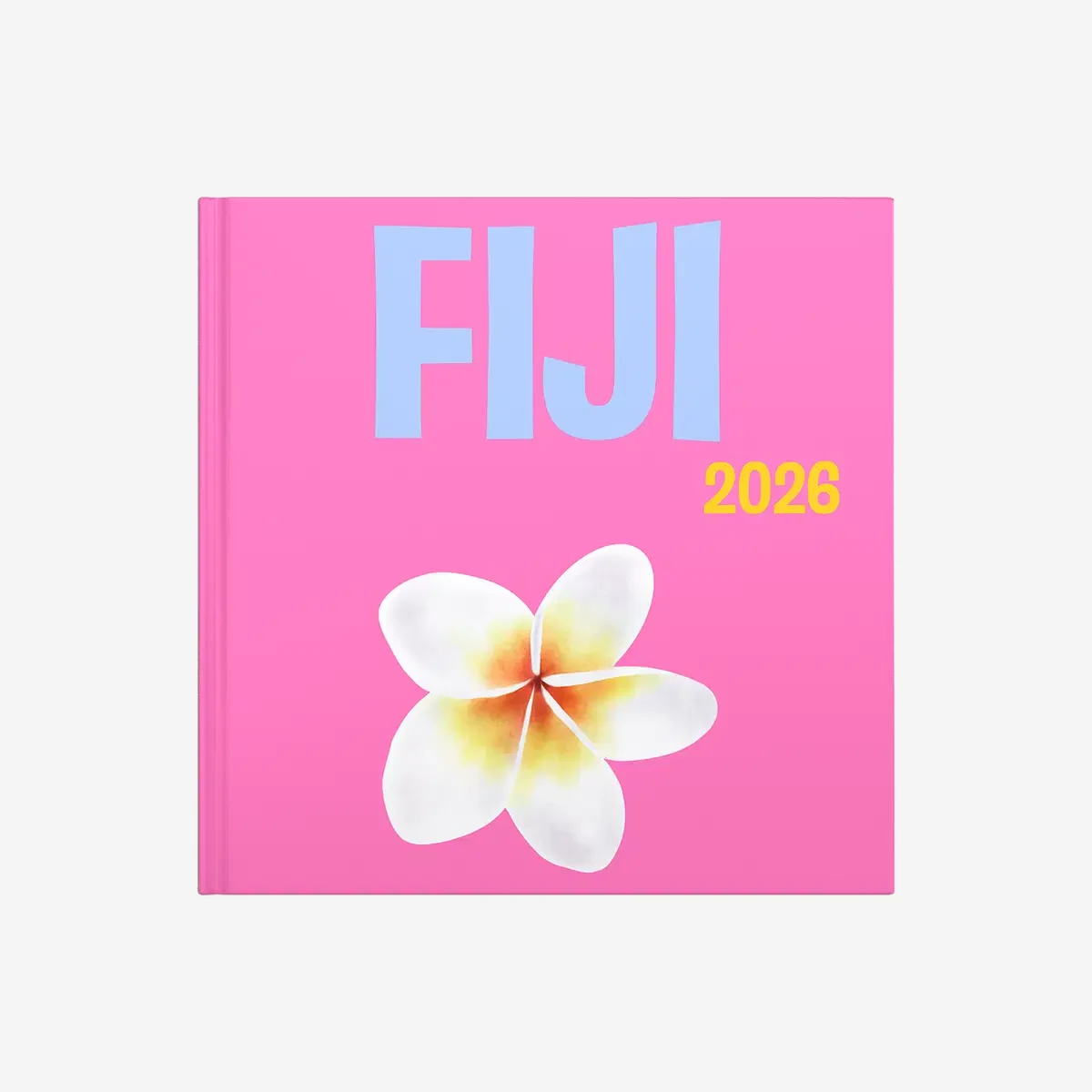 Fiyi — image 2