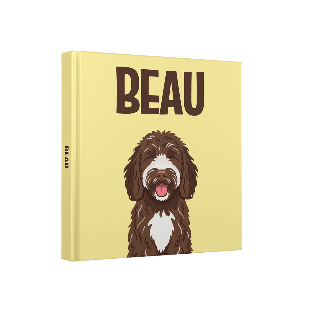 Labradoodle Chocolate