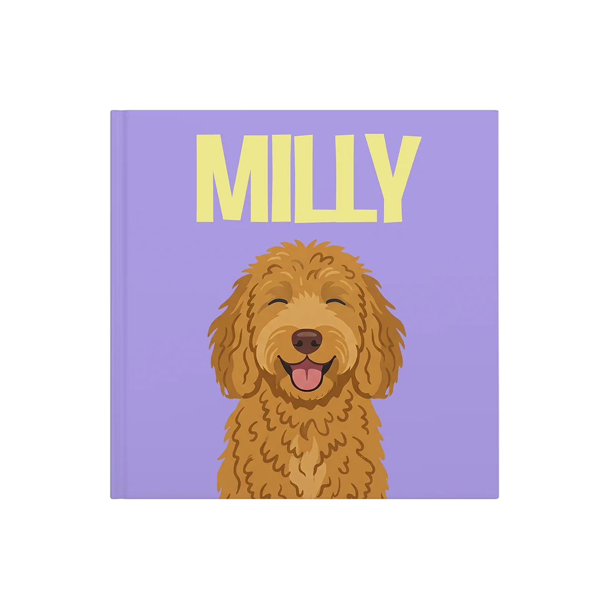Labradoodle Dorado 1 — image 2