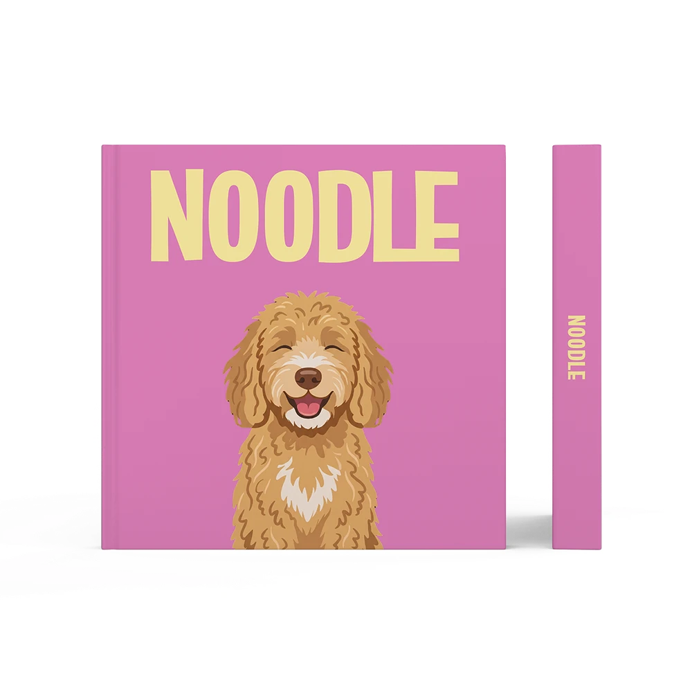 Labradoodle Dorado — image 3