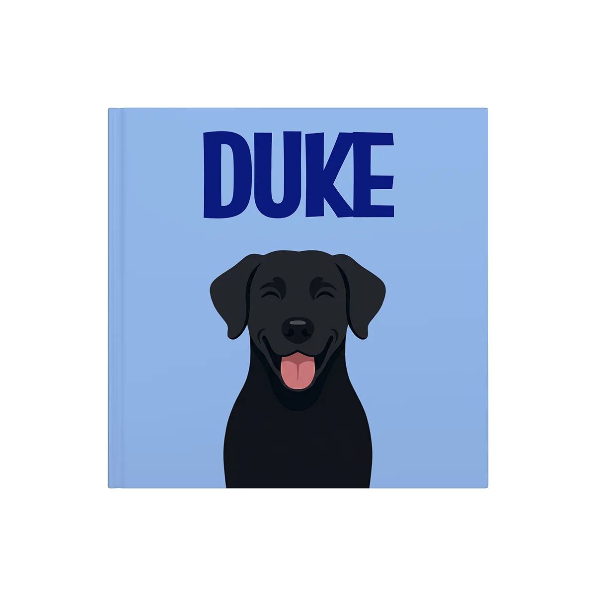 Labrador Negro — image 2