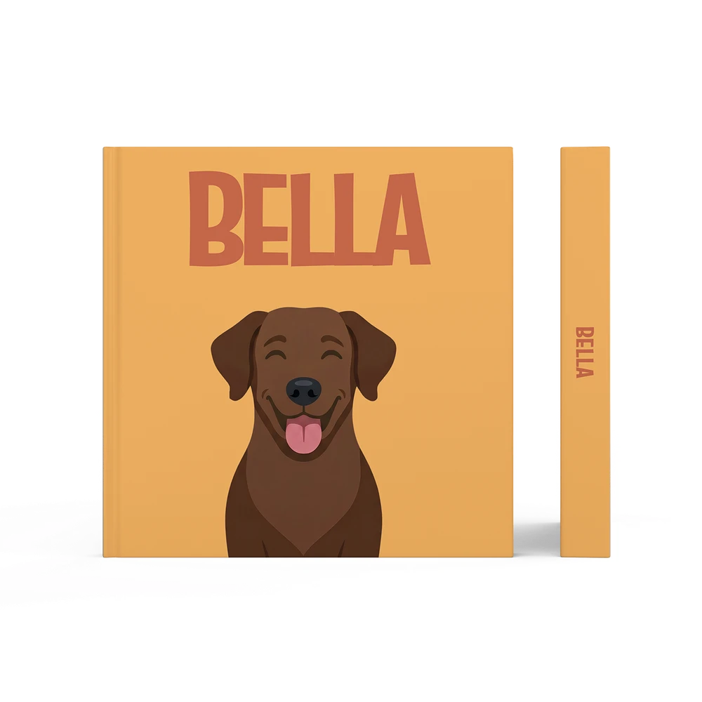 Labrador Chocolate — image 3