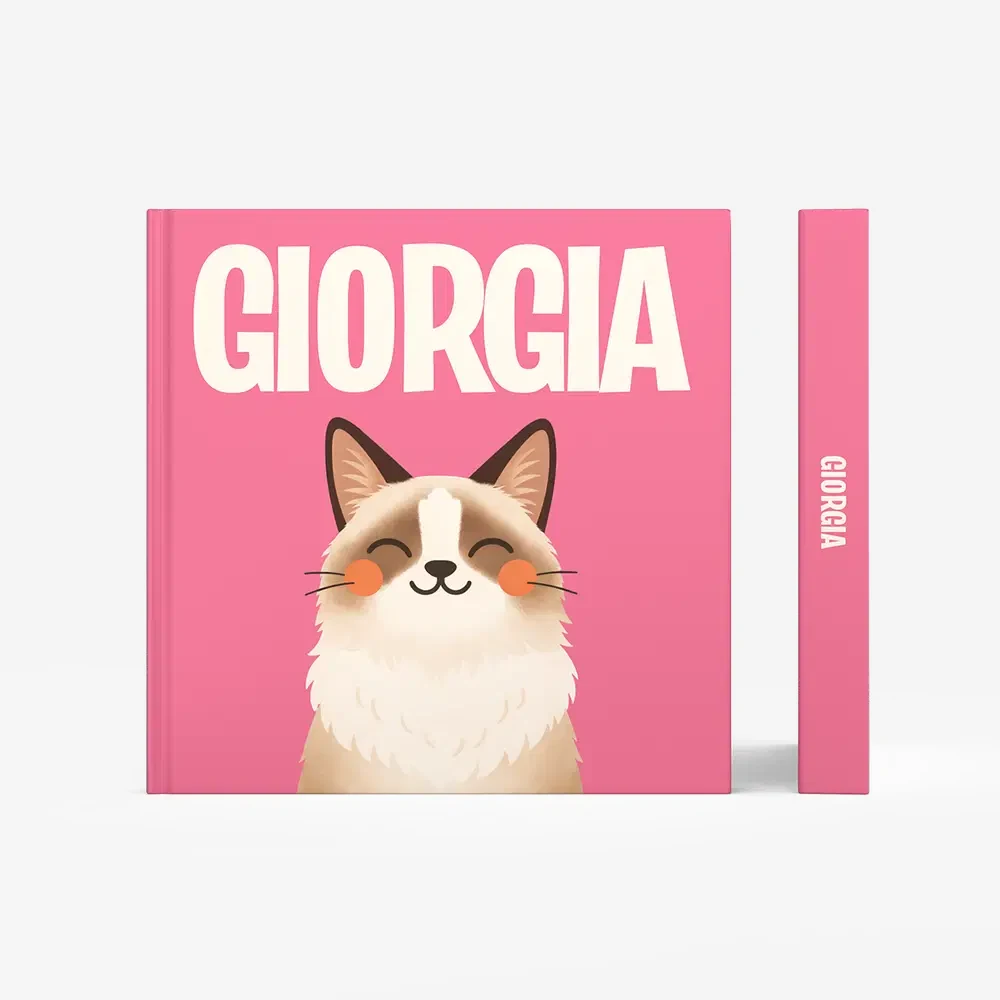 Ragdoll — image 3