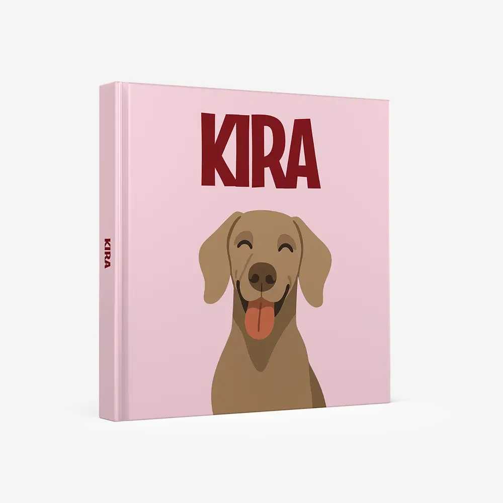 Weimaraner — image 1